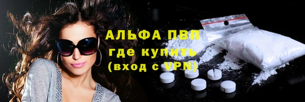 spice Каменка