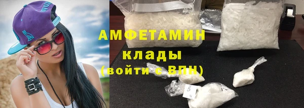apvp Иннополис