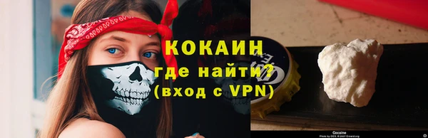 apvp Иннополис