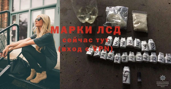 apvp Иннополис