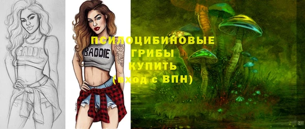 ешки Каменногорск