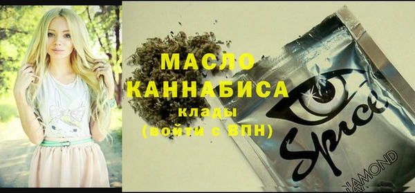 spice Каменка