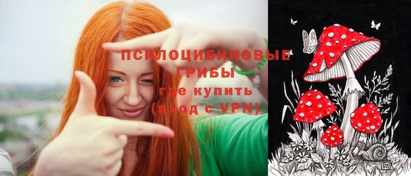 соль ск Инта