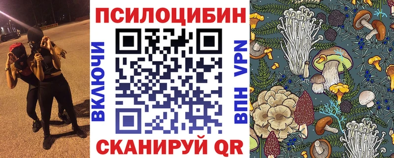Галлюциногенные грибы мицелий  Купить где  Сафоново 
